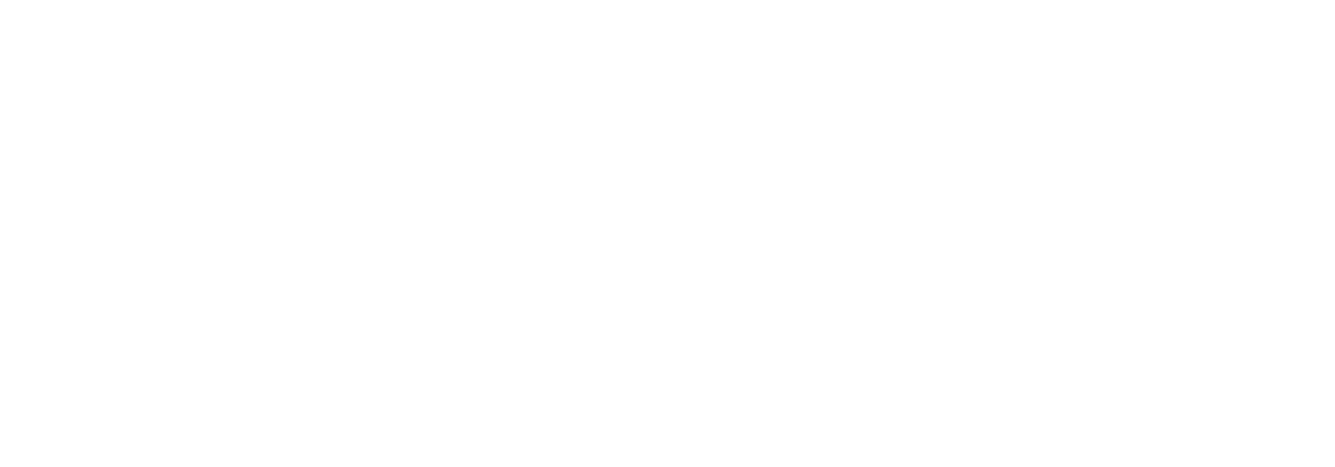 Diode Dynamics official supplier logo