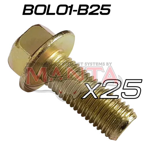 (Pack 25) M10 x 1.25 x 25mm x 14mm Head (Toyota 1HZ Extractor Bolt)5.0L Mustang Extractor Bolt product image