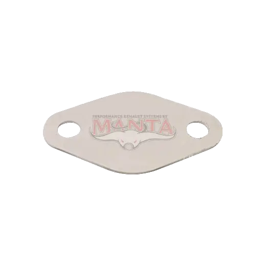 VW 2.0L TDI Amarok EGR Blanking Plate product image