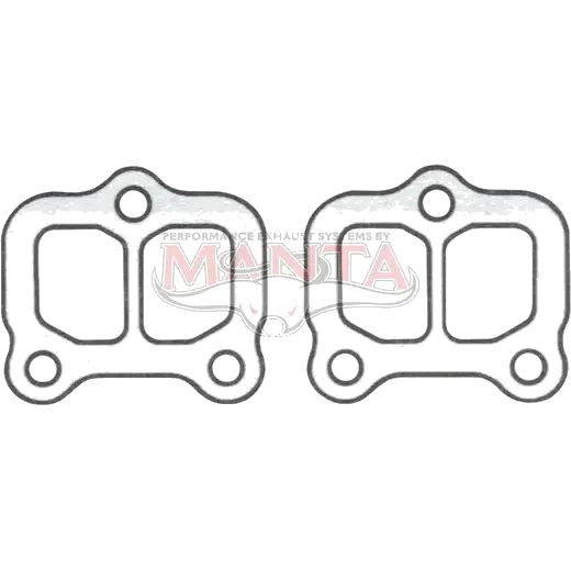 Pintara 2L CA20E MTR Extractor Gasket product image
